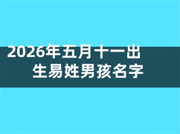 2026年五月十一出生易姓男孩名字