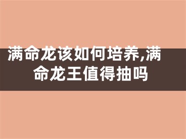 满命龙该如何培养,满命龙王值得抽吗