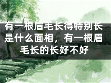 有一根眉毛长得特别长是什么面相，有一根眉毛长的长好不好