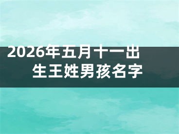 2026年五月十一出生王姓男孩名字