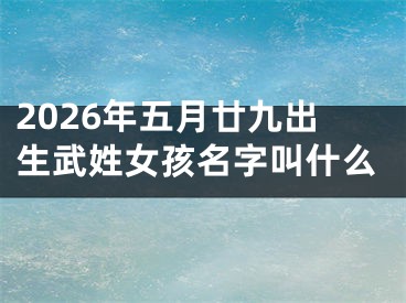 2026年五月廿九出生武姓女孩名字叫什么
