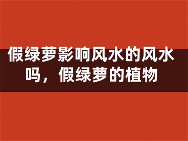 假绿萝影响风水的风水吗，假绿萝的植物