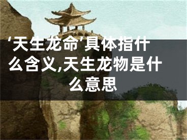 ‘天生龙命’具体指什么含义,天生龙物是什么意思