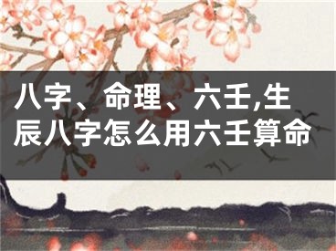 八字、命理、六壬,生辰八字怎么用六壬算命