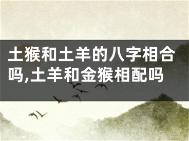 土猴和土羊的八字相合吗,土羊和金猴相配吗
