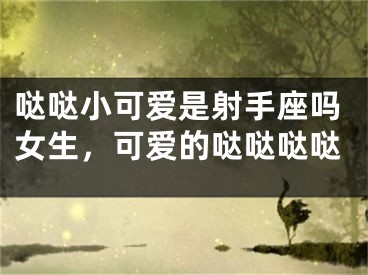 哒哒小可爱是射手座吗女生，可爱的哒哒哒哒