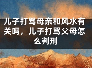 儿子打骂母亲和风水有关吗，儿子打骂父母怎么判刑