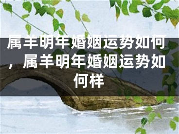 属羊明年婚姻运势如何，属羊明年婚姻运势如何样