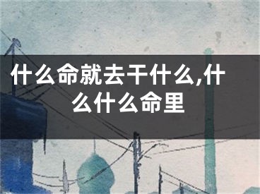 什么命就去干什么,什么什么命里