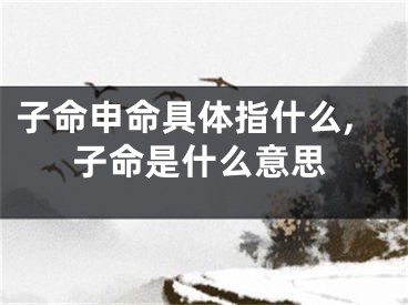 子命申命具体指什么,子命是什么意思