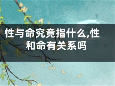 性与命究竟指什么,性和命有关系吗