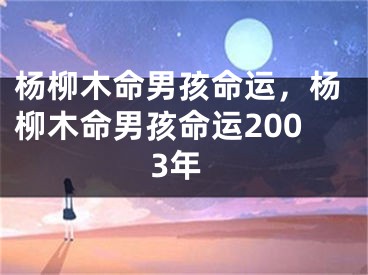 杨柳木命男孩命运，杨柳木命男孩命运2003年