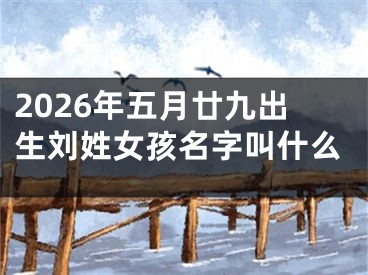 2026年五月廿九出生刘姓女孩名字叫什么