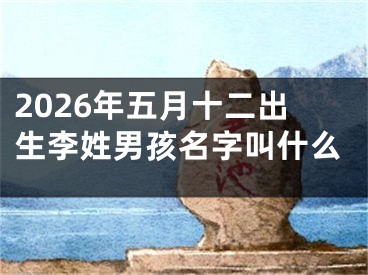 2026年五月十二出生李姓男孩名字叫什么