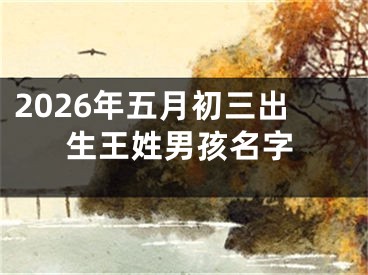 2026年五月初三出生王姓男孩名字