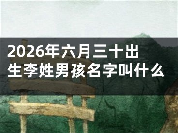 2026年六月三十出生李姓男孩名字叫什么