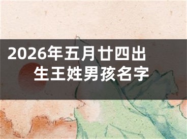 2026年五月廿四出生王姓男孩名字
