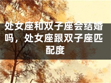 处女座和双子座会结婚吗，处女座跟双子座匹配度