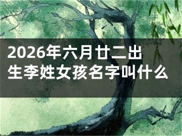 2026年六月廿二出生李姓女孩名字叫什么