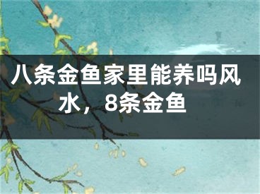 八条金鱼家里能养吗风水，8条金鱼