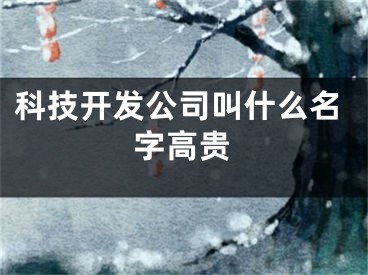 科技开发公司叫什么名字高贵