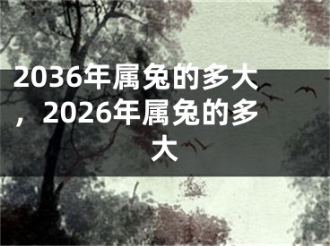 2036年属兔的多大，2026年属兔的多大