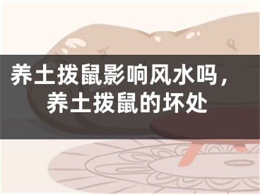 养土拨鼠影响风水吗，养土拨鼠的坏处