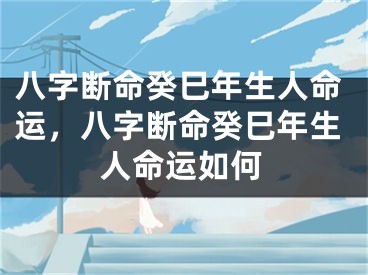 八字断命癸巳年生人命运，八字断命癸巳年生人命运如何
