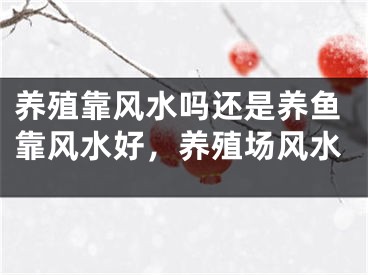养殖靠风水吗还是养鱼靠风水好，养殖场风水