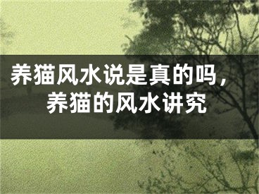 养猫风水说是真的吗,养猫的风水讲究