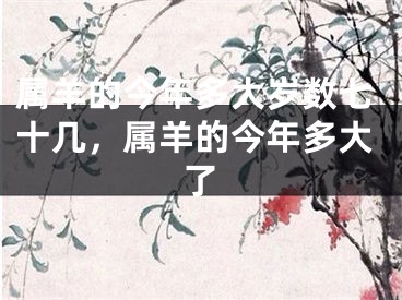 属羊的今年多大岁数七十几,属羊的今年多大了