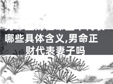 男命正财在命盘中代表哪些具体含义,男命正财代表妻子吗
