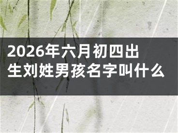 2026年六月初四出生刘姓男孩名字叫什么
