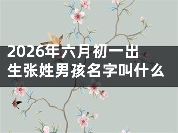 2026年六月初一出生张姓男孩名字叫什么