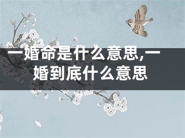 一婚命是什么意思,一婚到底什么意思