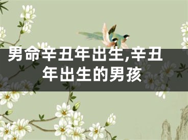 男命辛丑年出生,辛丑年出生的男孩