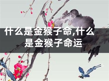 什么是金猴子命,什么是金猴子命运