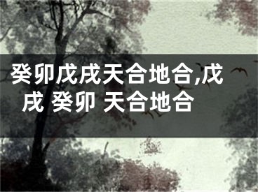 癸卯戊戌天合地合,戊戌 癸卯 天合地合