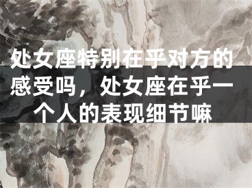 处女座特别在乎对方的感受吗,处女座在乎一个人的表现细节嘛