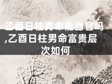 乙酉日柱男命能当官吗,乙酉日柱男命富贵层次如何