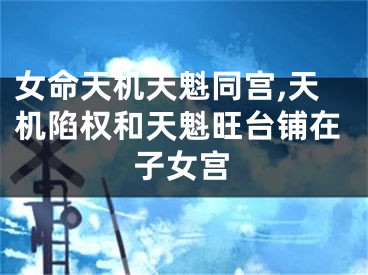 女命天机天魁同宫,天机陷权和天魁旺台铺在子女宫