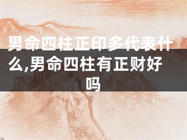 男命四柱正印多代表什么,男命四柱有正财好吗