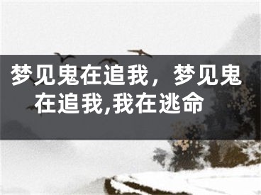 梦见鬼在追我，梦见鬼在追我,我在逃命