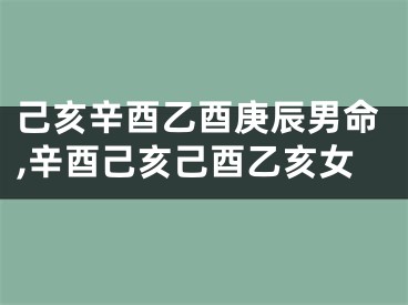 己亥辛酉乙酉庚辰男命,辛酉己亥己酉乙亥女