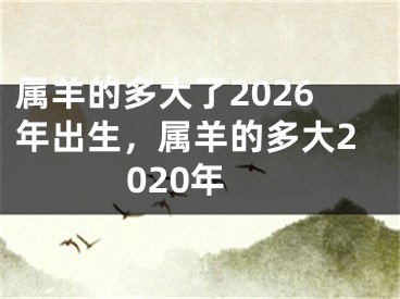 属羊的多大了2026年出生,属羊的多大2020年