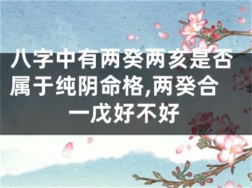 八字中有两癸两亥是否属于纯阴命格,两癸合一戊好不好