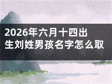 2026年六月十四出生刘姓男孩名字怎么取