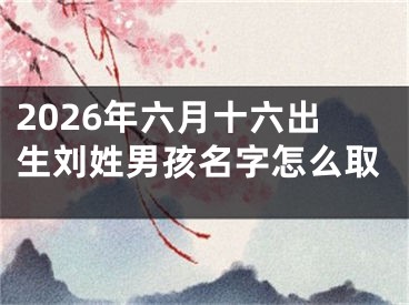 2026年六月十六出生刘姓男孩名字怎么取