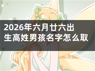 2026年六月廿六出生高姓男孩名字怎么取