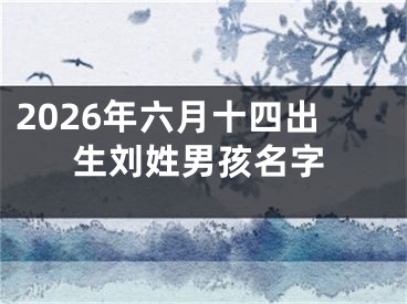 2026年六月十四出生刘姓男孩名字